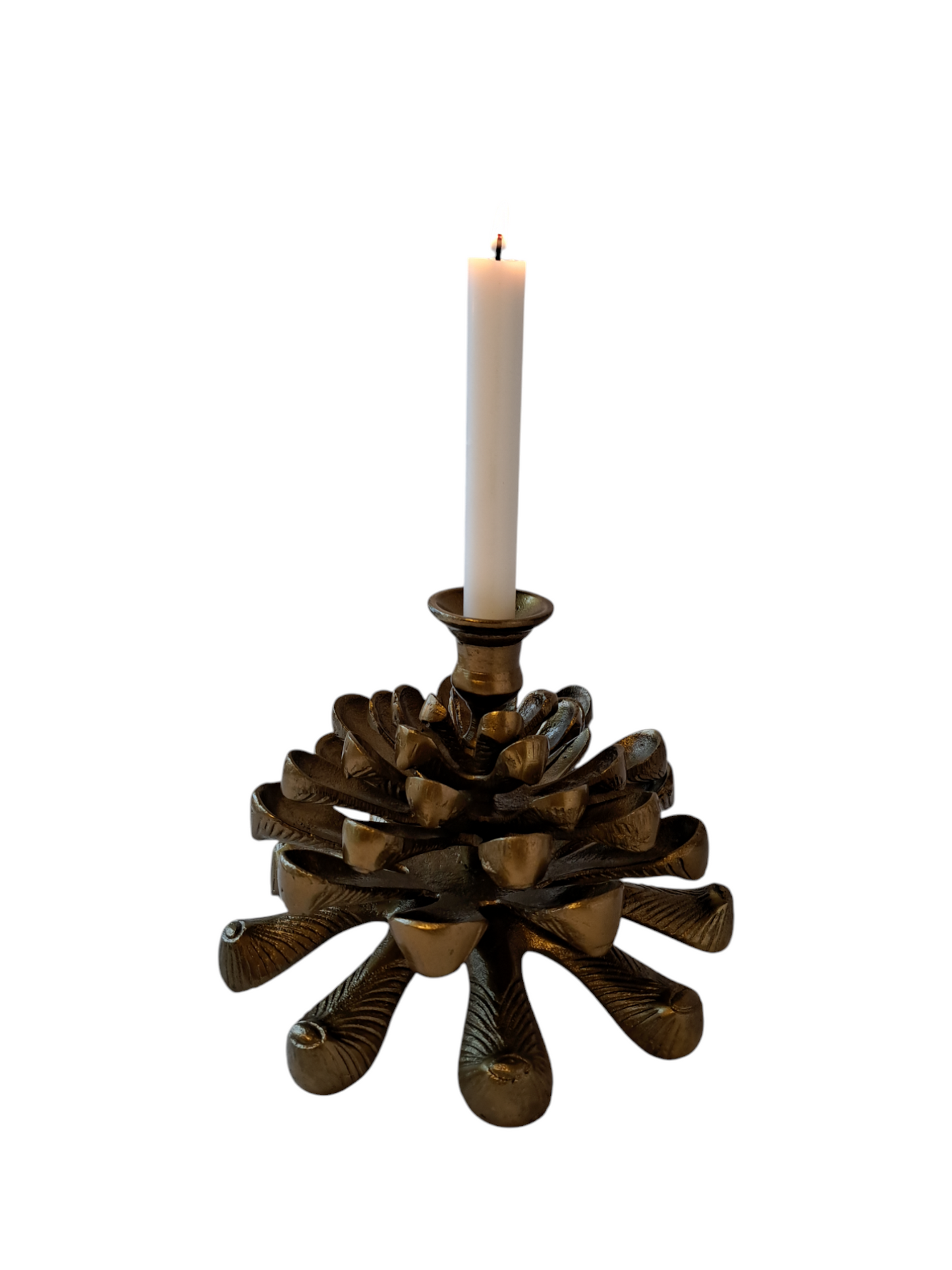 Pinecone 550400