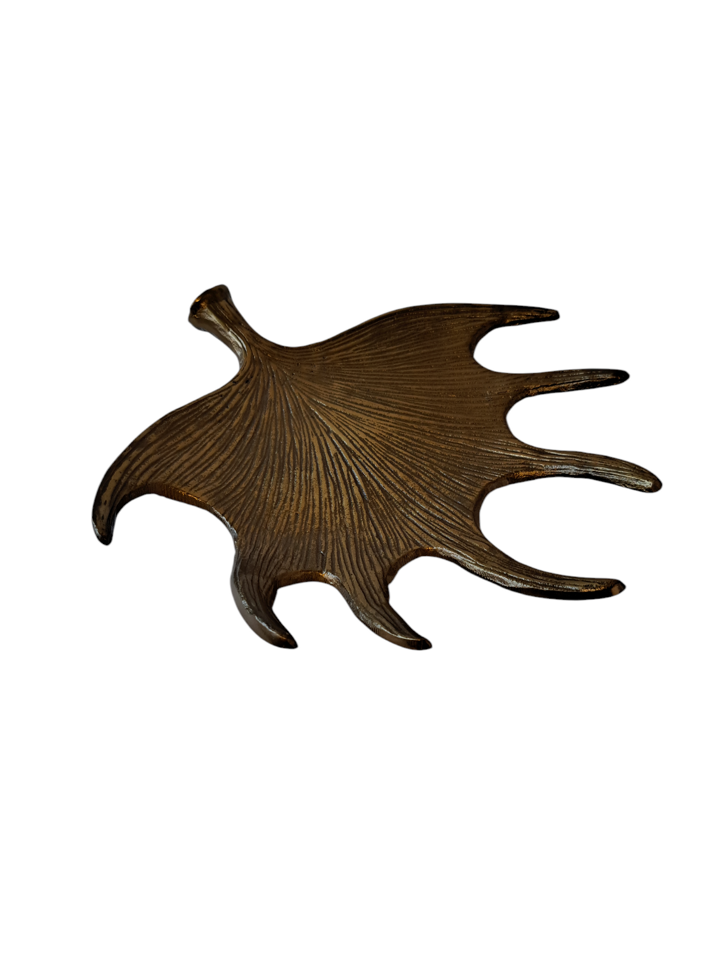 Deer Tray L