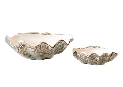 Silver Shell with White Enamel