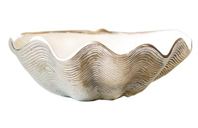 Silver Shell with White Enamel