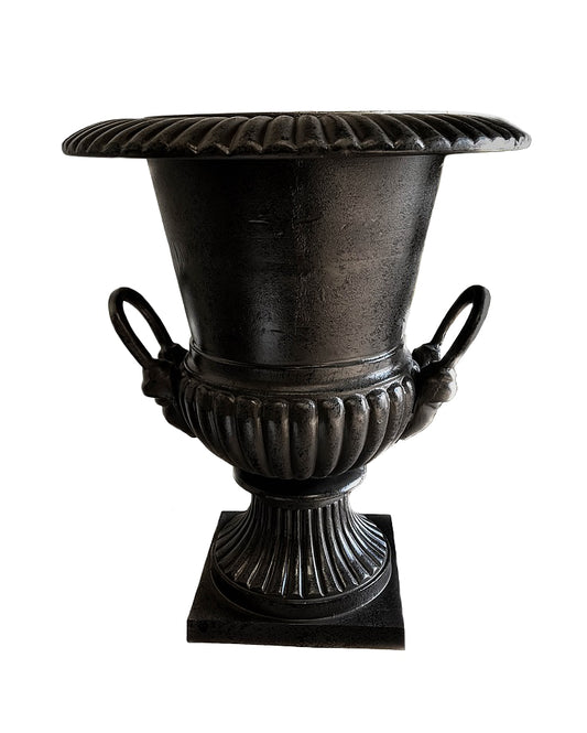 Buxus cast iron pot Black